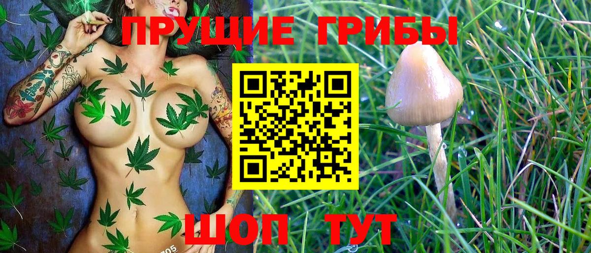 Галлюциногенные грибы Magic Shrooms  Вход с VPN  Торжок 