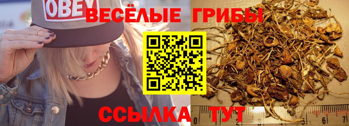 Галлюциногенные грибы GOLDEN TEACHER Торжок